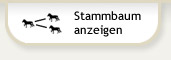 Stammbaum anzeigen
